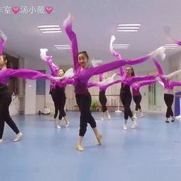 新化学成人跳舞视频,科技与艺术的完美融合