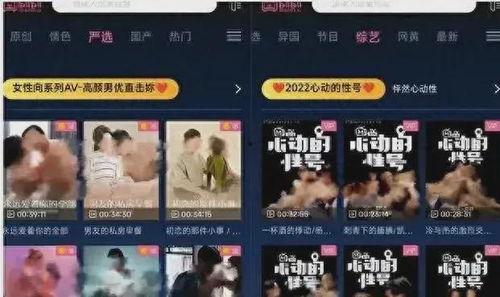 类型 在线 视频 成人,类型在线视频的精彩纷呈