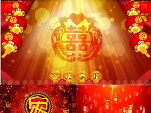 成人礼敬酒视频素材高清,青春绽放，感恩成长