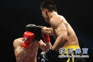 成人躲闪散打视频,成人躲闪散打技巧与策略