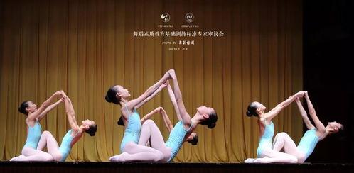 击地舞蹈成人教学视频,解锁成人舞蹈新境界