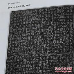 成人字帖制作教程视频,从零开始学书法