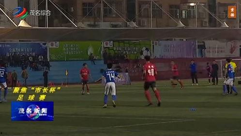 成人竞技比赛视频,成人比赛精彩瞬间回顾