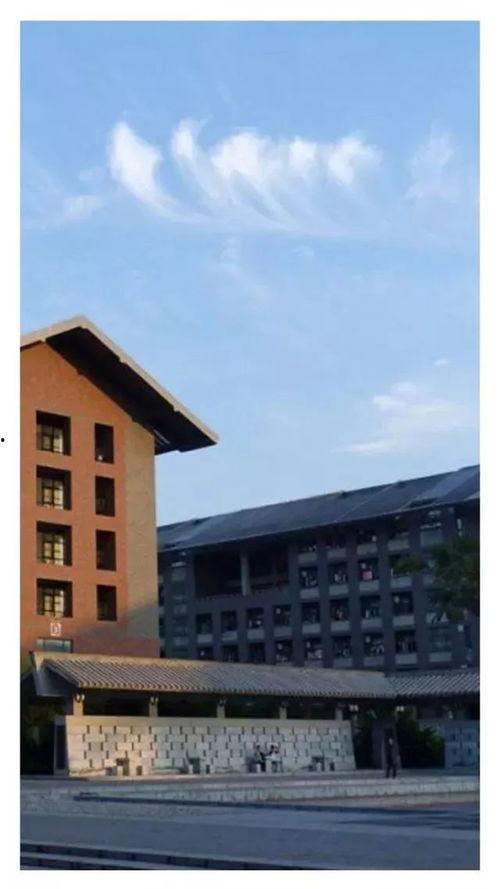 成人专用学院视频,视频揭秘学习新篇章