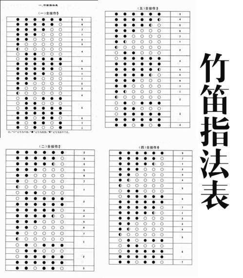 笛子初学成人教材视频,视频课程精华概述