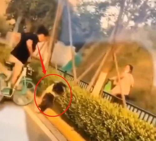 路边成人打架事件视频,成人暴力事件现场直击