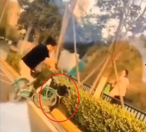路边成人打架事件视频,成人暴力事件现场直击