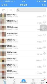 成人软件视频直播