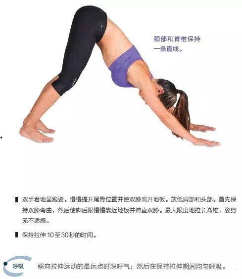 成人长高最好的动作视频,跟随视频轻松实现理想身高